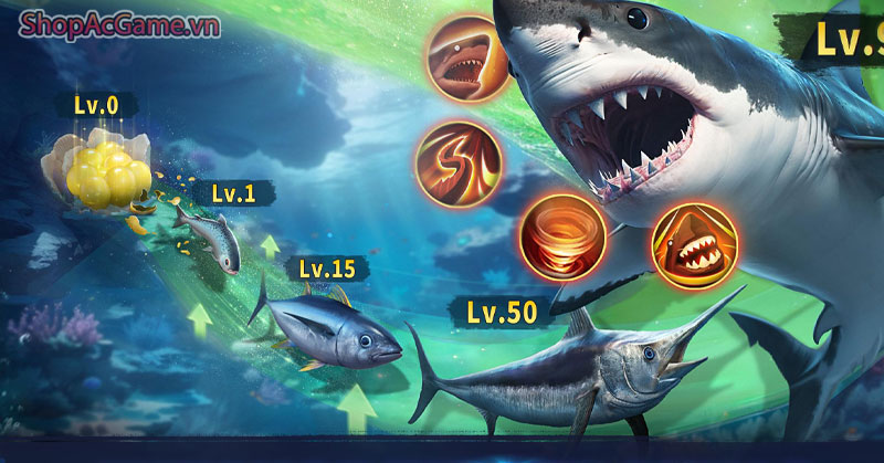 Top Fish Ocean Game