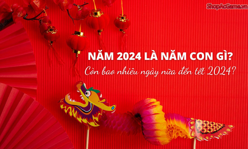 Năm 2024 con giáp nào? Còn bao nhiêu ngày nữa đến tết