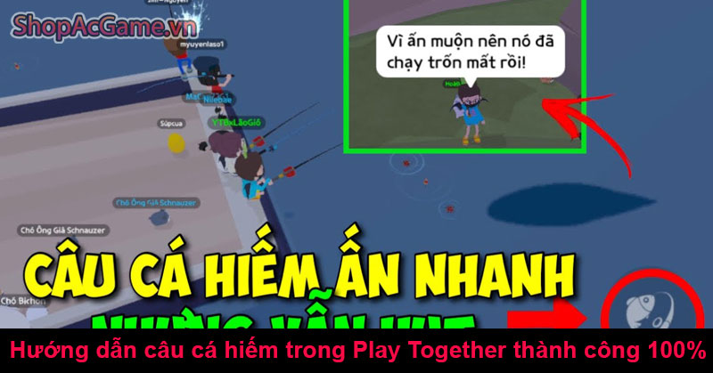 Hướng dẫn câu cá hiếm trong Play Together thành công 100%