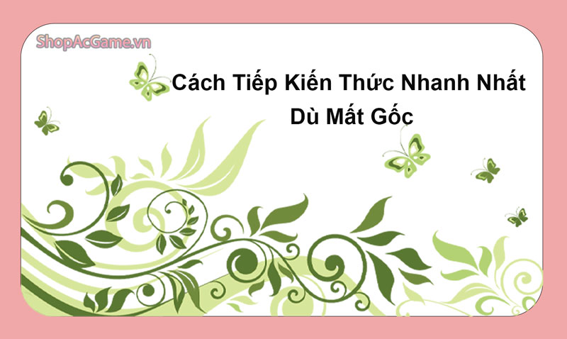 Cách Tiếp Kiến Thức Nhanh Nhất Dù Mất Gốc