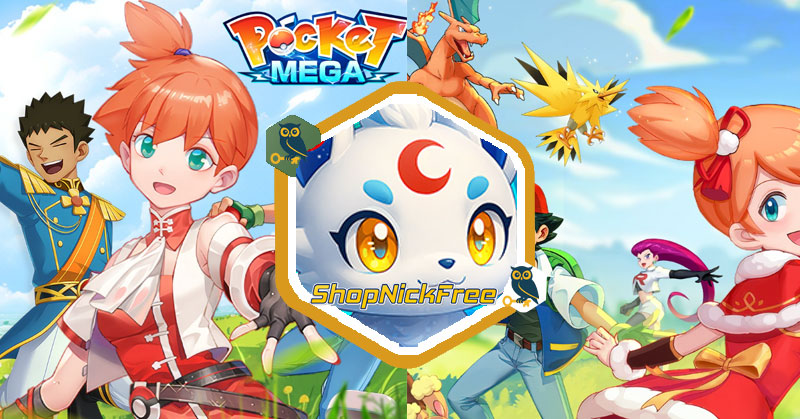 Code Pocket Mega