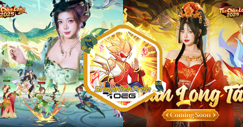 Tổng hợp code Tân Chân Long OEG