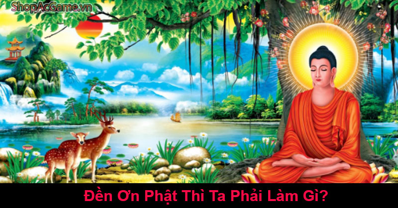 Đền Ơn Phật Thì Ta Phải Làm Gì?