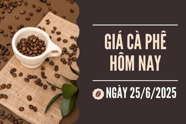 Giá Cà Phê hôm nay 25/06/2025: Tăng mạnh trở lại
