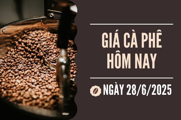 Giá cà phê hôm nay 28/06/2025