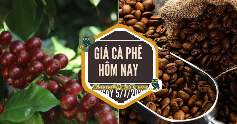 Giá cà phê hôm nay 05/07/2025