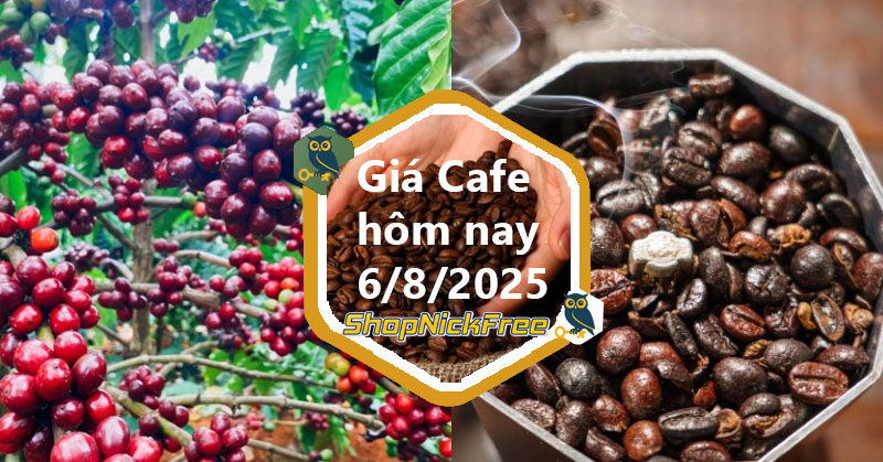 Giá cà phê trong nước hôm nay 06/08/2025