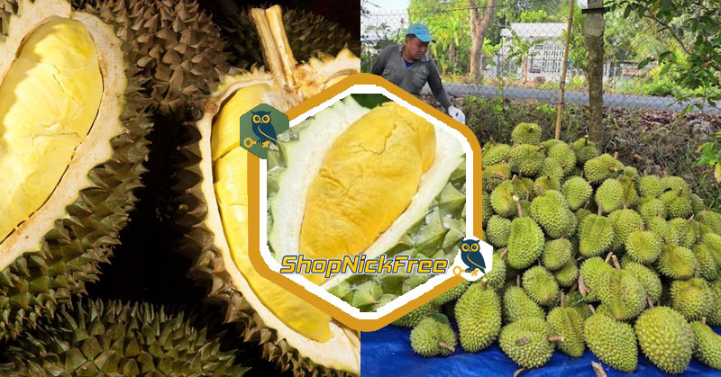 Giá Sầu riêng hôm nay 04/07/2025