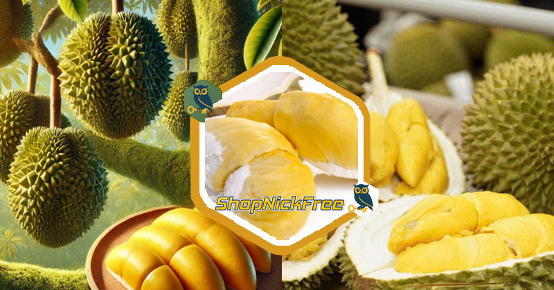 Giá Sầu riêng tại vườn hôm nay 23/07/2025