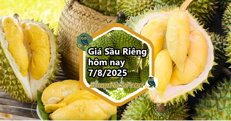 Giá Sầu riêng hôm nay 7/08/2025