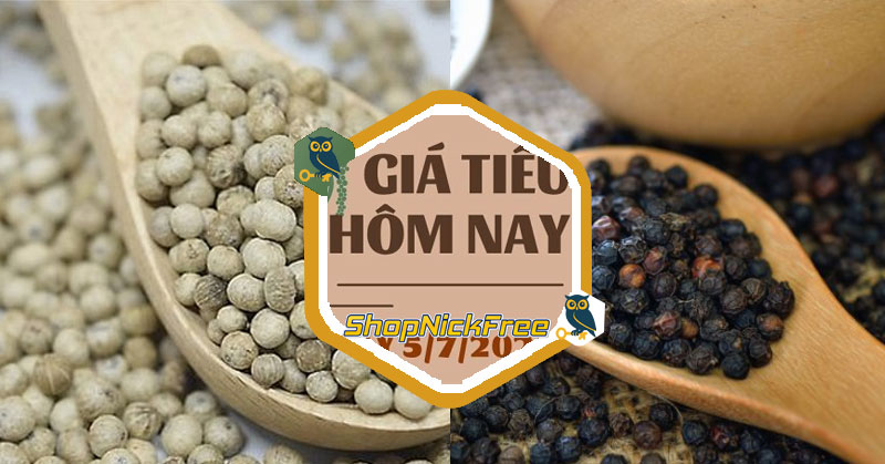 Giá Tiêu hôm nay 05/07/2025