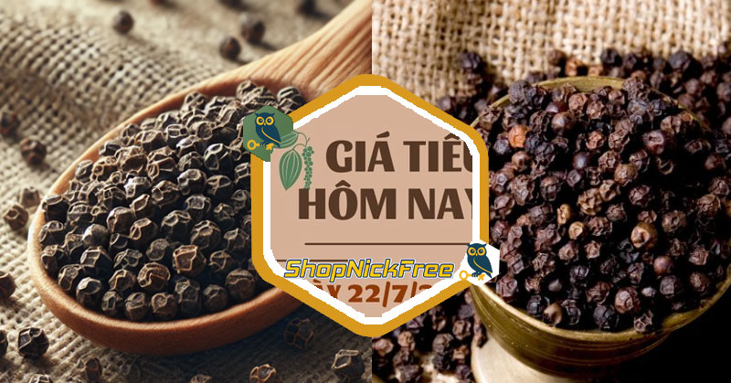 Giá Tiêu hôm nay 22/07/2025