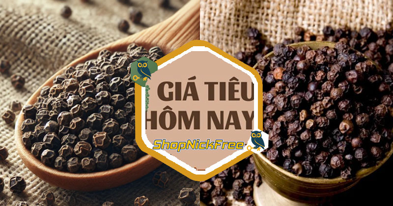 Giá Tiêu hôm nay 23/07/2025