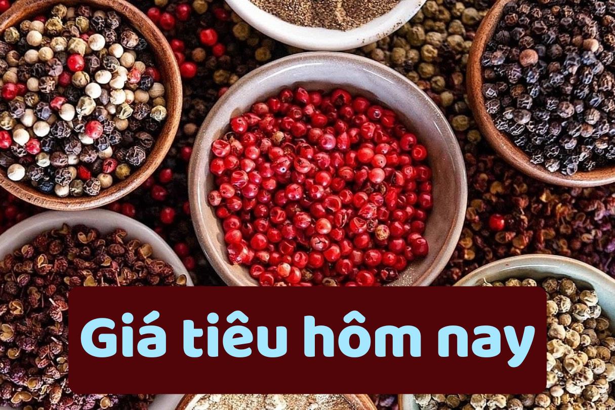 Giá Tiêu hôm nay 23/6/2025