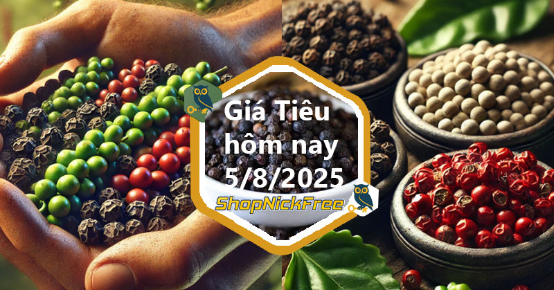Giá Tiêu trong nước hôm nay 5/08/2025