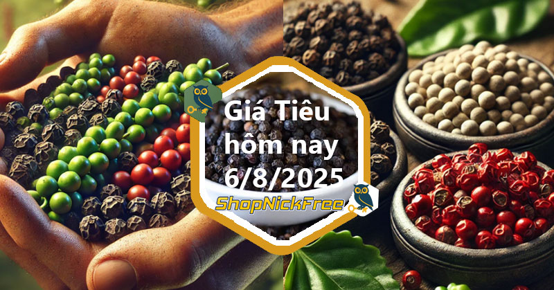 Giá Tiêu trong nước hôm nay 6/08/2025