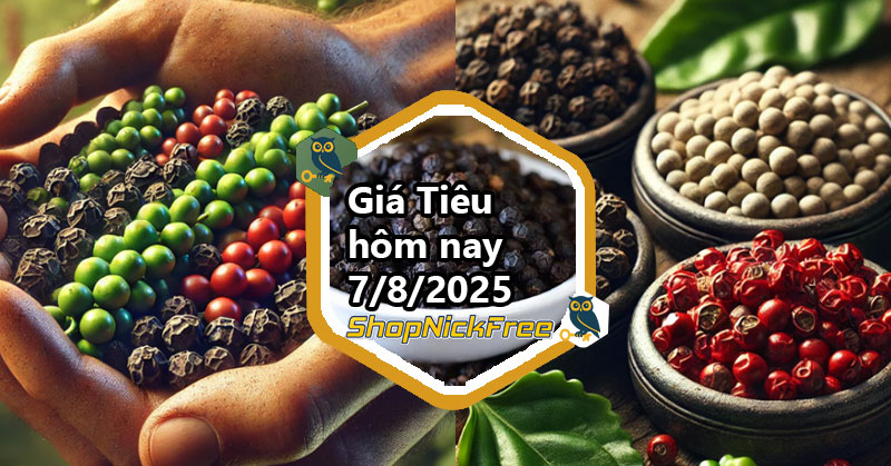 Giá Tiêu trong nước hôm nay 7/08/2025