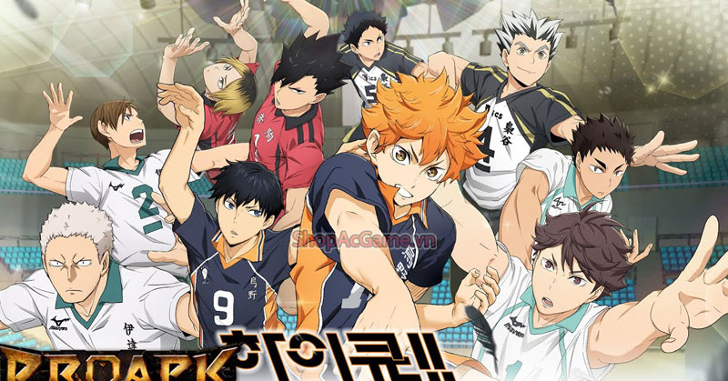 Haikyu Touch The Dream