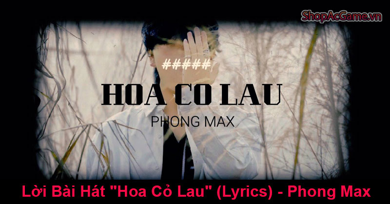 Lời Bài Hát Hoa Cỏ Lau