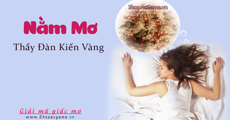 Nằm mơ thấy đàn kiến vàng hên hay xui - Đánh con gì?