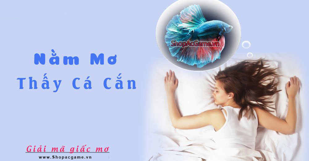 Nằm mơ thấy cá cắn Hên hay xui - Đánh số con gì?