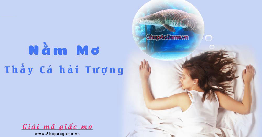 Nằm Mơ Thấy Cá Hải Tượng Hên hay xui - Đánh số con gì?