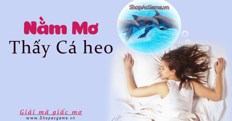 Nằm mơ thấy cá heo Hên hay Xui - Đánh số con gì?