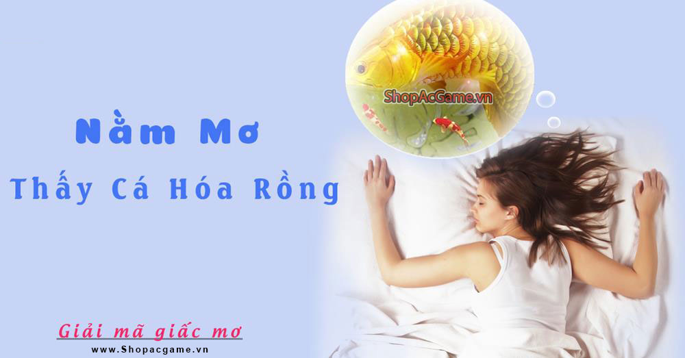 Nằm mơ thấy cá hóa rồng Hên hay xui - Đánh số con gì?