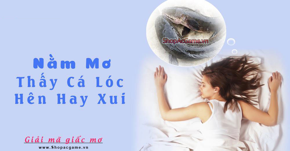 Nằm mơ thấy cá lóc điềm báo Hên hay xui - Đánh số con gì?