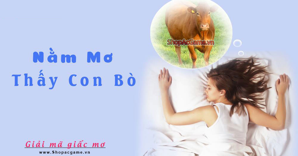 Nằm mơ thấy con bò là điềm gì hên hay xui - Đánh số con gì?