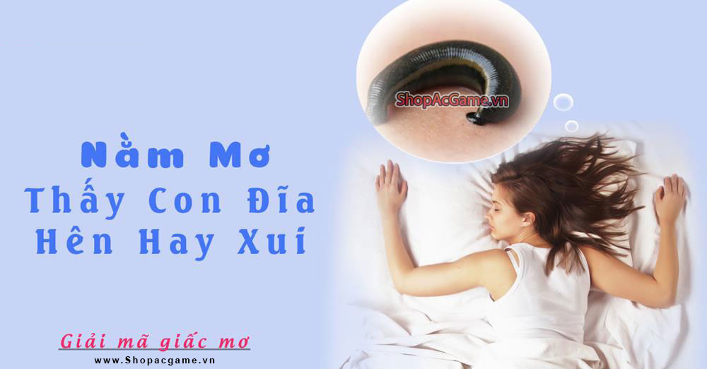 Nằm mơ thấy con đỉa Hên hay xui - Điềm báo gì? đánh số con gì?