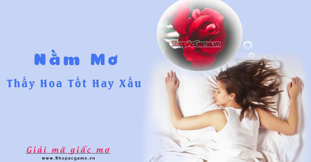 Giải mã nằm mơ thấy hoa tốt hay xấu - Đánh số con gì?