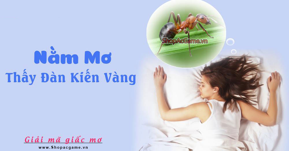 Nằm mơ thấy đàn kiến vàng hên hay xui - Đánh số con gì?