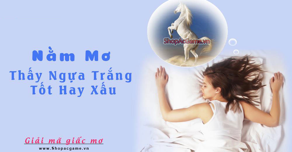 Giải mã nằm mơ thấy ngựa trắng tốt hay xấu - Đánh số con gì?