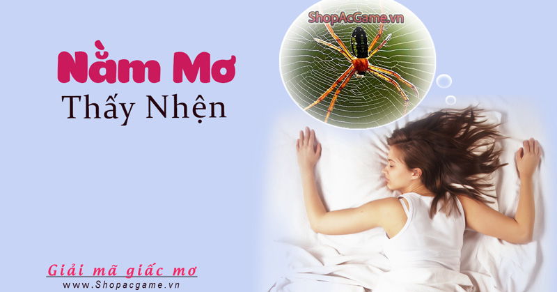 Nằm mơ thấy nhện hên hay xui  Điềm báo gì Đánh sô nao