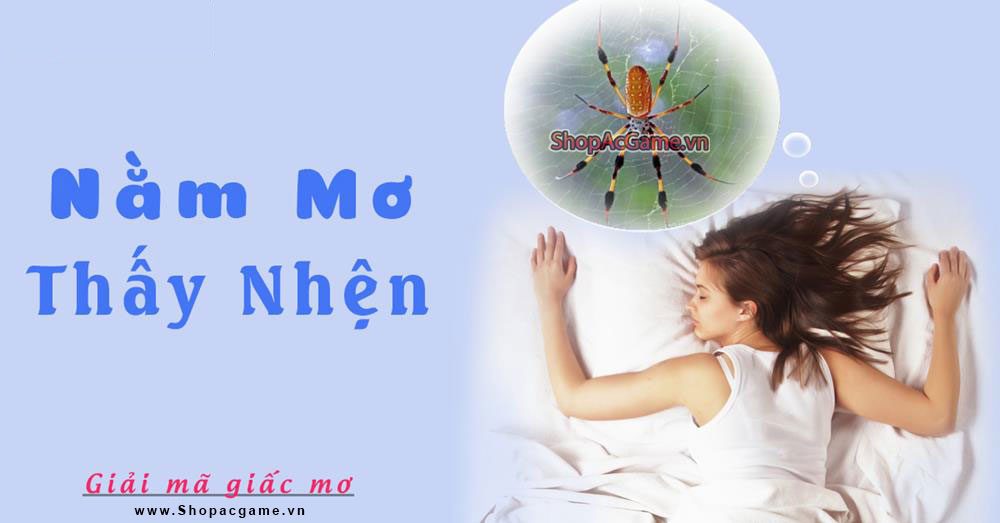 Nằm mơ thấy nhện hên hay xui - Điềm báo gì? Đánh con gì?