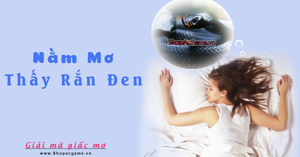 Nằm mơ thấy rắn đen Hên hay xui - Đánh số con gì?