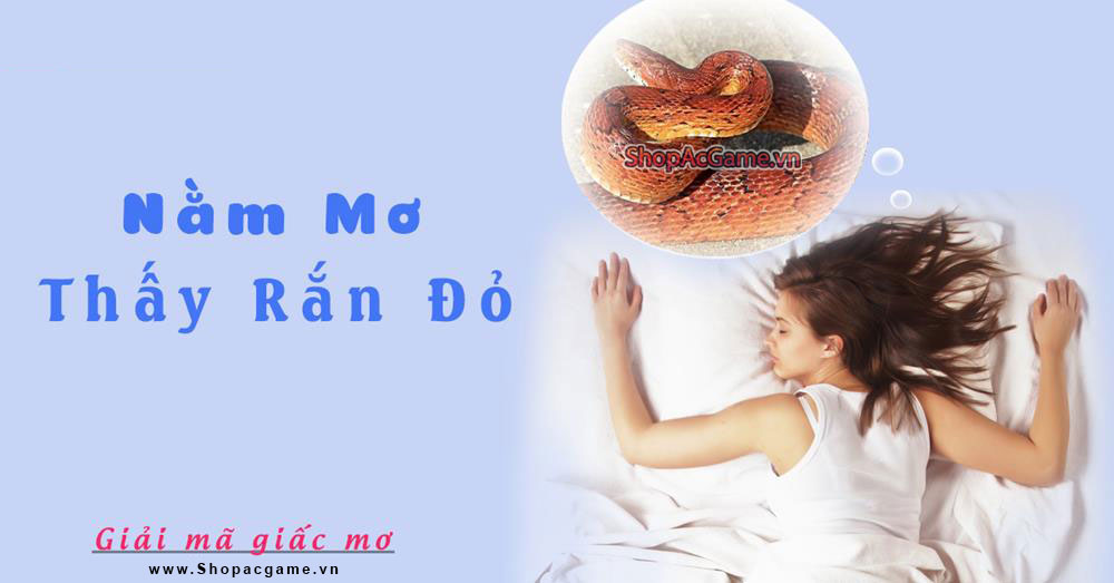 Nằm mơ thấy rắn đỏ Hên hay xui - Đánh số con gì?