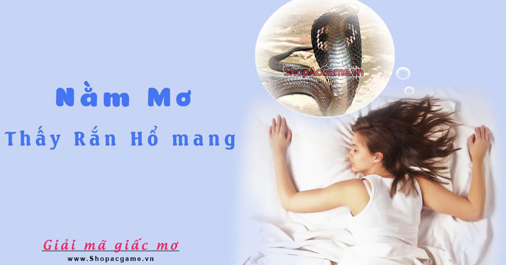 Nằm mơ thấy rắn hổ mang chúa Hên hay xui - Đánh số con gì?