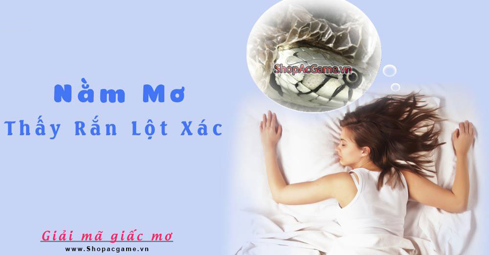 Nằm mơ thấy rắn lột xác Hên hay xui - Đánh số con gì?