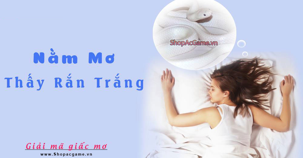 Nằm mơ thấy rắn trắng Hên hay xui - Đánh số con gì?