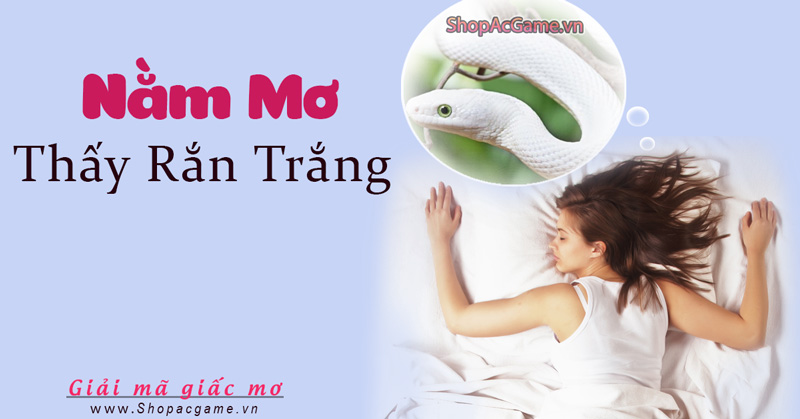 Nằm mơ thấy rắn trắng Hên hay Xui - Đánh số con gì?