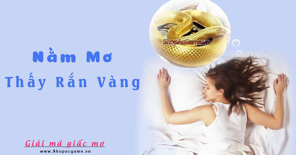 Nằm mơ thấy rắn vàng Hên hay xui - Đánh số con gì?