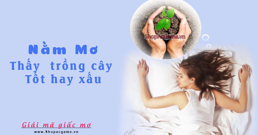 Nằm mơ thấy trồng cây Tốt hay xấu - Đánh số con gì?