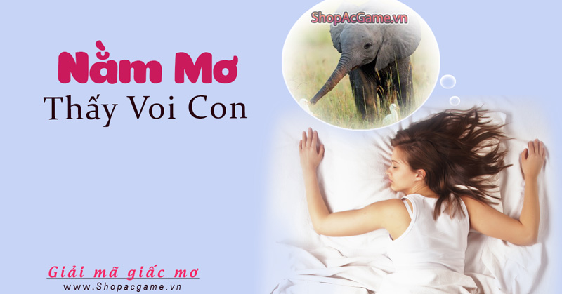 Nằm mơ thấy con voi hên hay xui - Điềm báo gì? Đánh số mấy