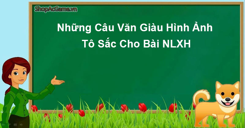 Những Câu Văn Giàu Hình Ảnh - Tô Sắc Cho Bài NLXH