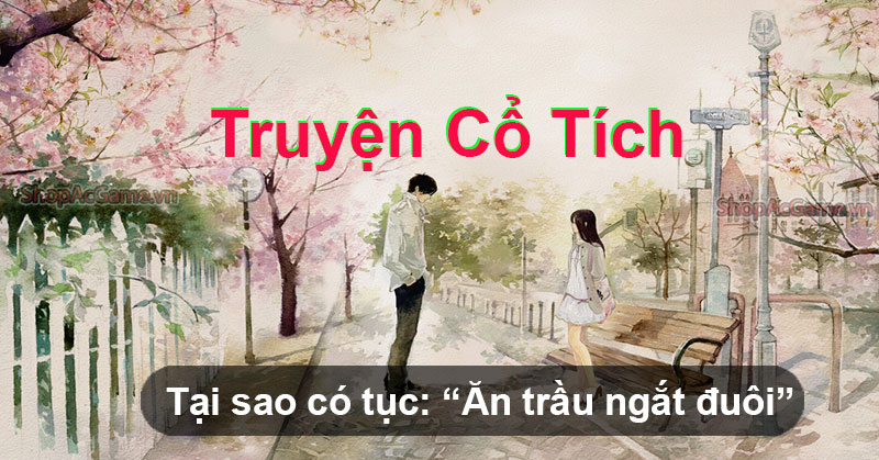 Review truyện Tại sao có tục: “Ăn trầu ngắt đuôi”